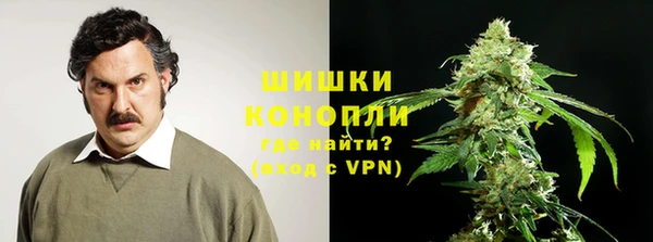 шишки Алексеевка
