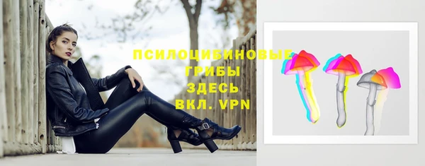 прущие крисы Абаза