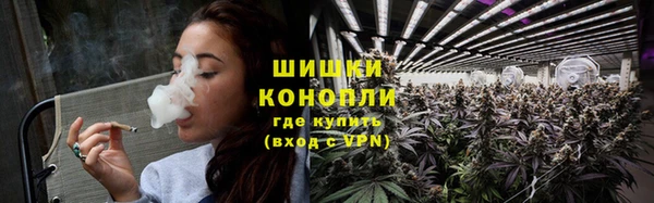 шишки Алексеевка