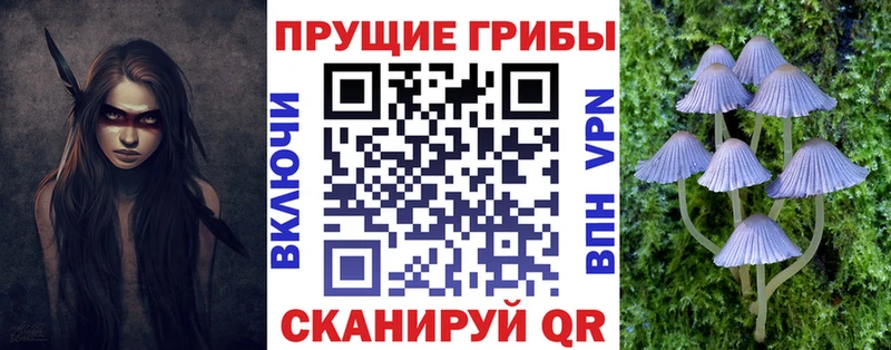 Псилоцибиновые грибы Cubensis  Северская 